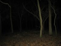 Chicago Ghost Hunters Group investigates Robinson Woods (132).JPG